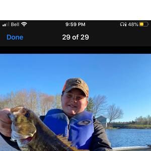 Meet your Posher, Gavin